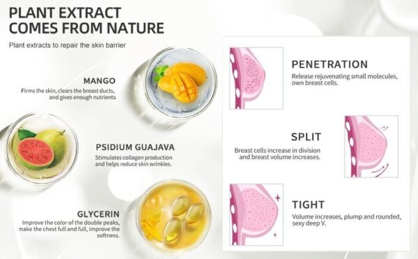 Bigger Breasts Enlargement Cream, Estrogen Enzymes for Bigger Bust, Bigger Boobs