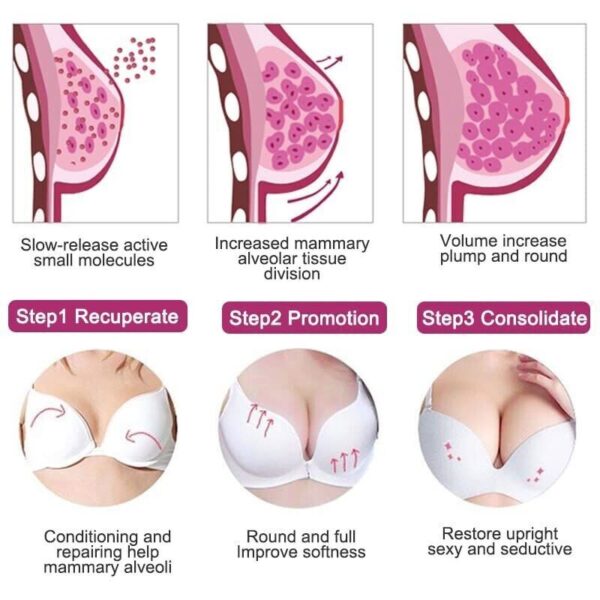 Bigger Breasts Enlargement Cream, Estrogen Enzymes for Bigger Bust, Bigger Boobs